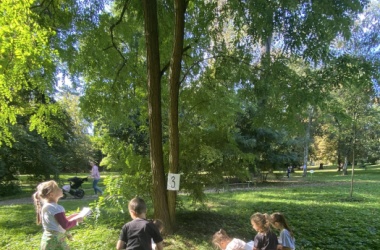 Poznávání stromů v parku