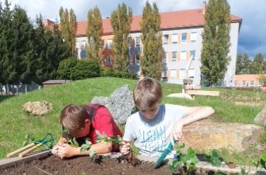 Živá školní zahrada - podzimní údržba září 2022